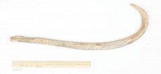 ПКМ-ОФ-1794