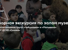 Экскурсия по залам в МАУ «Краеведческий музей»