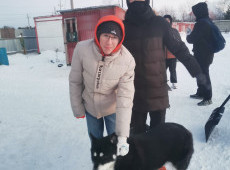 Акция «ДоброДом» (6+)